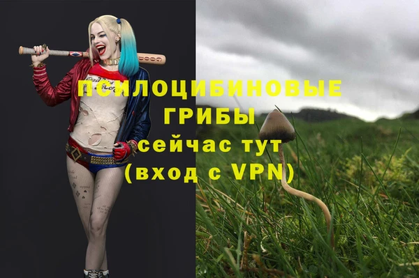 mix Алексин
