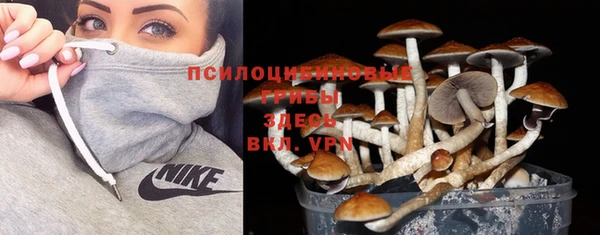 прущий лед Алексеевка